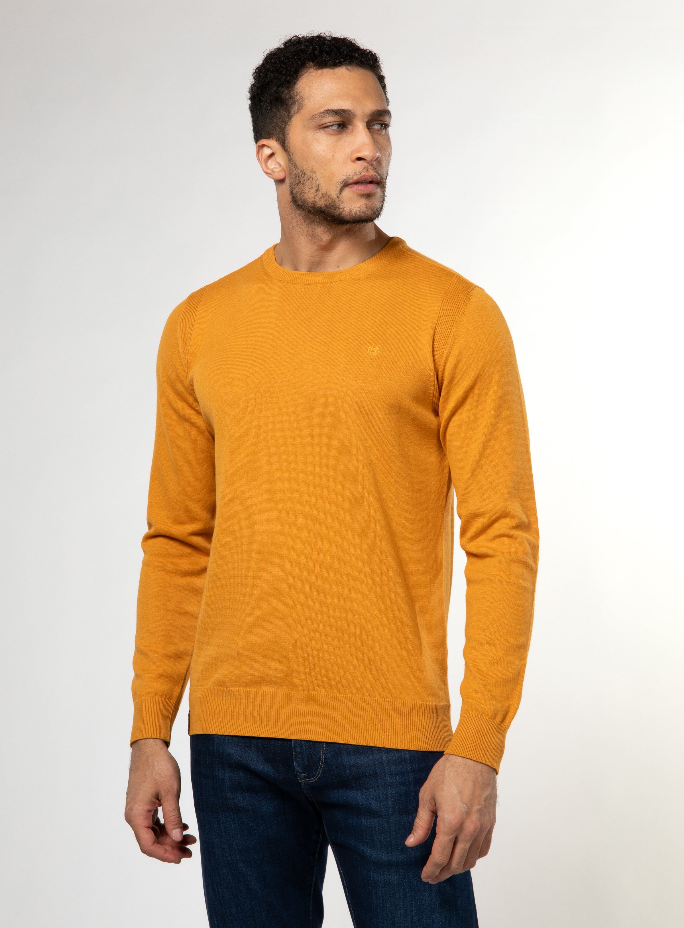 Crew neck 2025 jumper with shirt