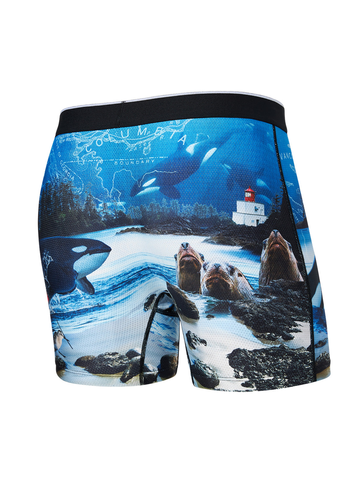 Boxers model 146261 Alpha Male Boxers Shorts, Slips, Swimming Briefs for  Men Wholesale Clothing Matterhorn